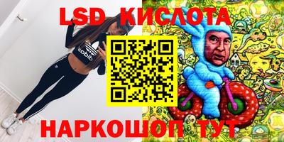 крисы Донской