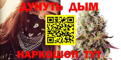 крисы Донской