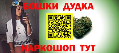 крисы Донской
