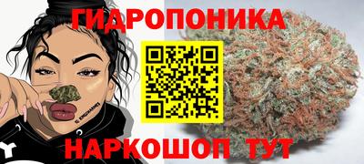 молекула духа Донецк