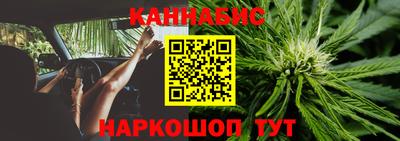 крисы Донской