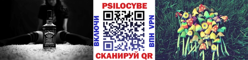 Псилоцибиновые грибы мицелий Мурманск
