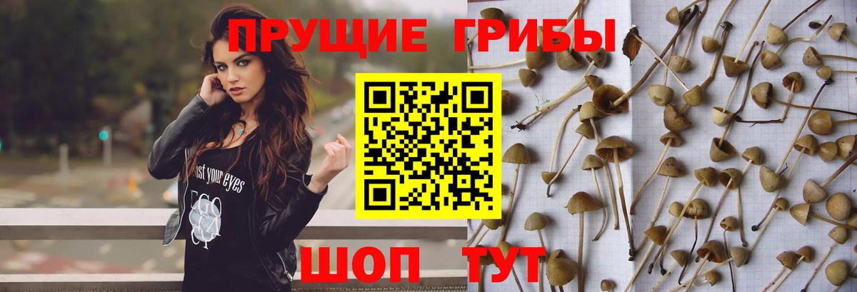 Галлюциногенные грибы Psilocybine cubensis  закладка  Галлюциногенные грибы мухоморы  Мурманск  Вход с VPN 