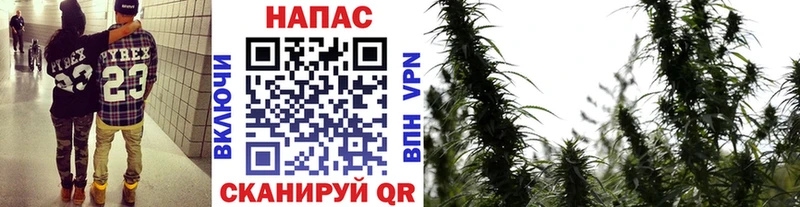 Бошки марихуана сатива  купить   Мурманск 